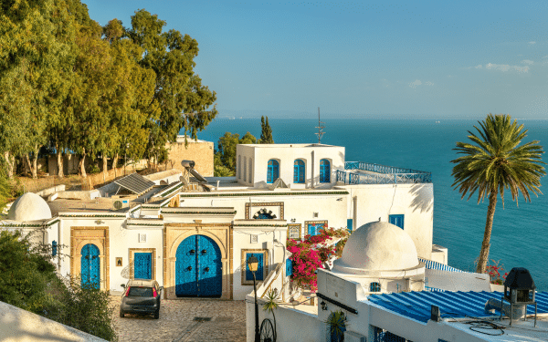 La chirurgie esthétique en Tunisie La chirurgie esthétique en Tunisie